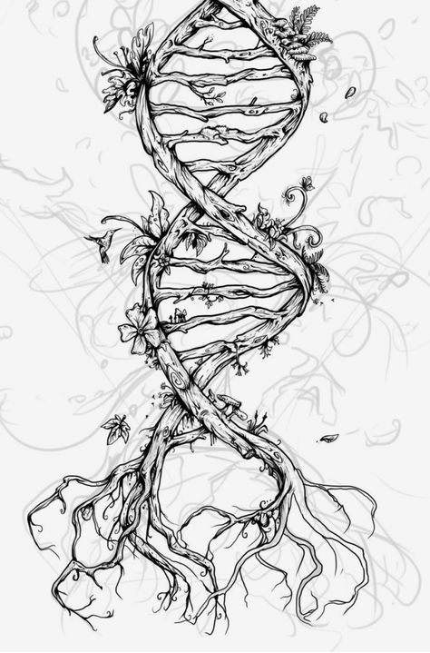 Biology Design, Biology Drawing, Science Drawing, Science Tattoo, Science Tattoos, Dna Art, Octopus Tattoos, Illustration Kunst, Biology Art