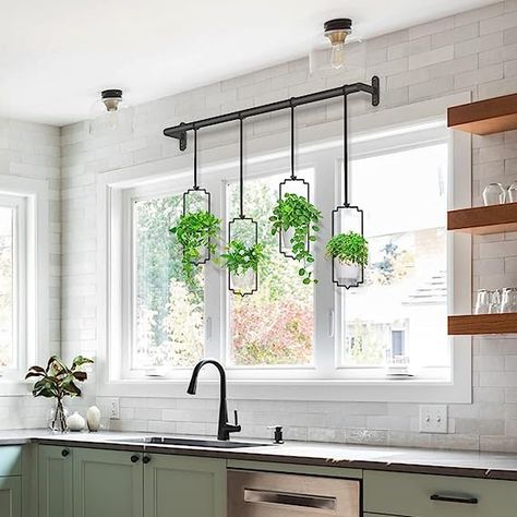 Wall and Ceiling Plant Hanger with Plastic Pots Kitchen Sink Wall No Window, Ceiling Plant Hanger, Kitchen Window Decor, Small Indoor Plants, Window Plants, Window Planters, Hanging Plants Indoor, Hanging Flower Pots, Window Planter Boxes