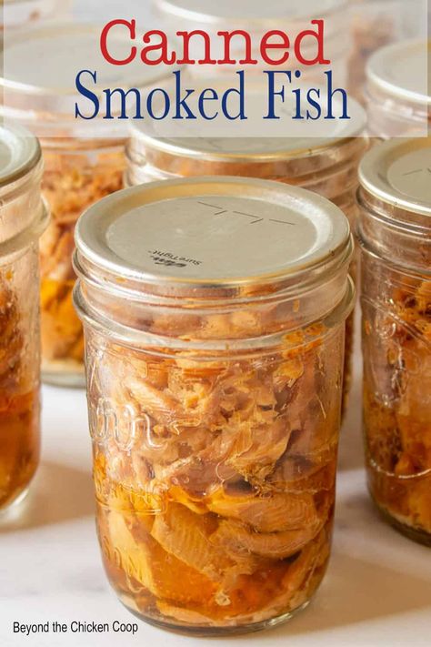 Step by step directions on how to can smoked fish at home. This recipe uses a pressure canner and is a great way to preserve your catch! Works well with smoked kokanee, trout or salmon. Pressure Canner Recipes, Pickled Fish Recipe, Canned Fish Recipes, Smoked Trout Recipe, Smoked Tuna, Canned Salmon Recipes, Pressure Canning Recipes, Trout Recipes, Smoked Salmon Recipes