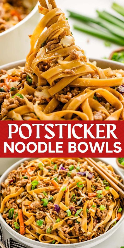 Potsticker Noodle Bowls take the tender noodles, ground pork, veggies, and savory sauce from a traditional pan-fried Asian appetizer and turn them into a main course meal. Skip the take-out because this easy noodle dish can be made in 10 minutes. Potsticker In A Bowl, Pot Luch Food, Pork Rice Noodles, Healthy Meals No Vegetables, Terriaki Noodle Recipe, Cheap Dinners For A Family Of 2, Protein Noodles Recipes, Food To Eat With Chopsticks, Food Dinner Ideas Easy