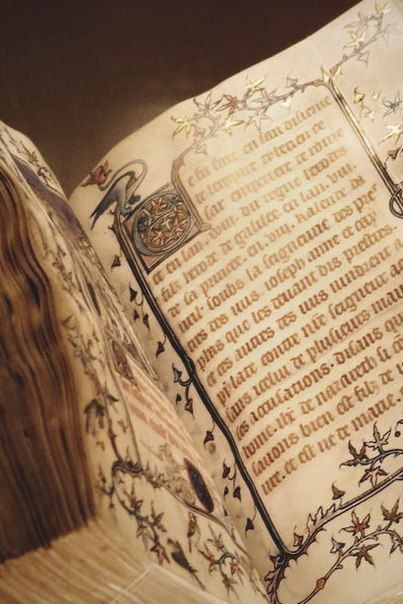 Ella Enchanted, Raindrops And Roses, Royal Core, Medieval Aesthetic, Fairytale Aesthetic, An Open Book, Barbara Gordon, Fotografi Vintage, Royal Aesthetic