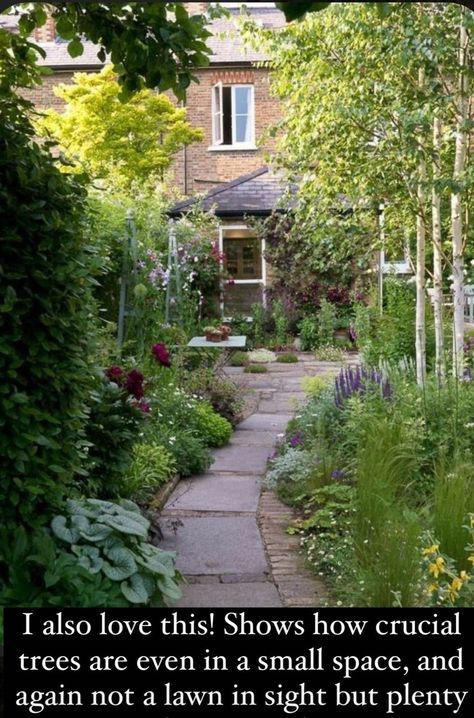 Long Narrow Garden, Low Maintenance Garden Design, Narrow Garden, Courtyard Gardens Design, Garden Vines, Cottage Garden Design, Walled Garden, Have Inspiration, Magical Garden