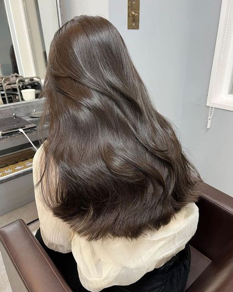 Do you wish you had perfect hair? check this link Thick Glossy Hair, Glossy Long Hair, Korean Hair Color Brown Natural, Healthy Glossy Hair, Korean Healthy Hair, Good Hair Aesthetic, Dr Hair Claim, Elegant Hair Styles For Medium Length, Korean Dark Brown Hair