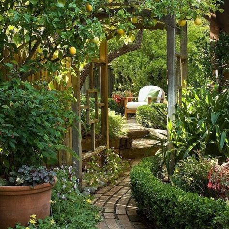 Best Secret Garden Ideas That Will Make Everyone Envy You - Matchness.com Sun Shed Ideas, Sun Shed, Walking Garden, Blonde Beard, Diy Jardin, Jardim Diy, Garden Nook, Pinterest Garden, Shed Ideas