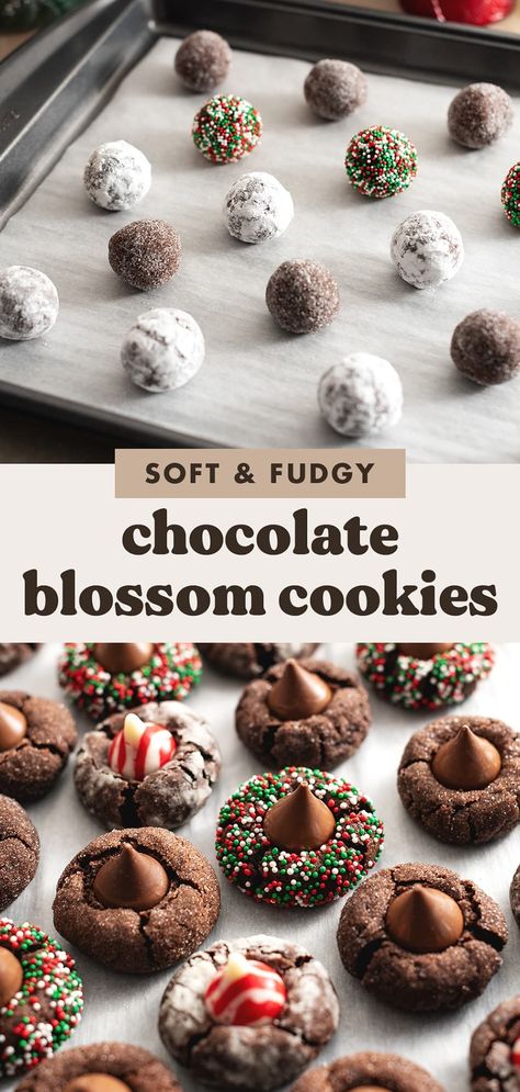 These chocolate blossom cookies are an easy twist on classic peanut butter blossoms but for chocolate lovers! They're soft and fudgy chocolate cookies with Hershey's kisses pressed into the middle. They're the easiest holiday cookies you'll make. #holidaycookies #blossomcookies #cookies | teakandthyme.com Christmas Hershey Bar Ideas, Chocolate Blossom Cookies Recipe, No Bake Peanut Butter Blossoms Hershey Kiss Cookies, Christmas Cookies Blossoms, Cocoa Thumbprint Cookies, Cookies And Cream Blossom Cookies, Brownie Cookies With Hershey Kisses, Easy Peanut Butter Hershey Kiss Cookies, Chocolate Star Cookies Christmas