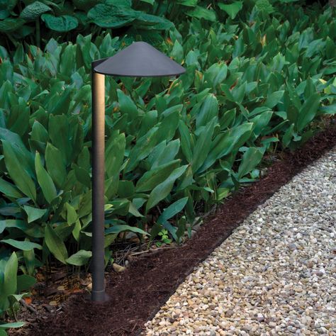 Path Lighting Ideas, Landscape Pathway Lighting, Walkway Lighting, Outdoor Path, Front Walkway, Outdoor Path Lighting, Garden Indoor, Pathway Lighting, Hinkley Lighting