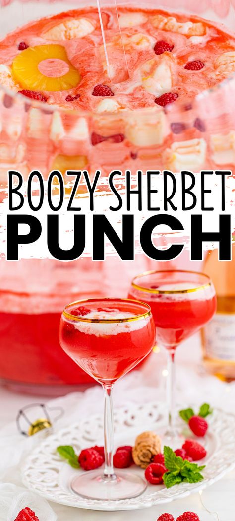 Perfect for any occasion, Boozy Sherbet Punch is the sweet, fruity kick your party needs! This festive punch is a huge hit with everyone! Sherbet Punch With Alcohol, Alcohol Party Drinks, Punch With Alcohol, Best Sherbet Punch Recipe, Sorbet Punch, Boozy Punch, Pink Punch Recipes, Cointreau Cocktail, Campari Cocktail