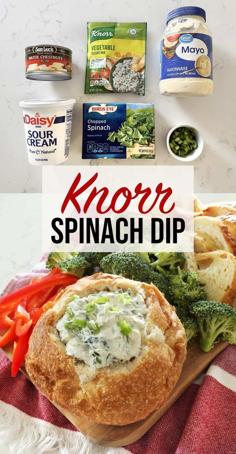 Classic spinach dip recipe using Knorr vegetable recipe mix. Easy appetizer recipe that you can make ahead of time and bring to any party. Canned Spinach Dip, Appetizer Recipes Veggie, Spinach Dip Bites Appetizers, Spinach Veggie Dip, How To Make Spinach Dip, Spinage Dip, Knorr Spinach Dip Recipe Easy, Knorrs Spinach Dip Recipe, Spinch Dip