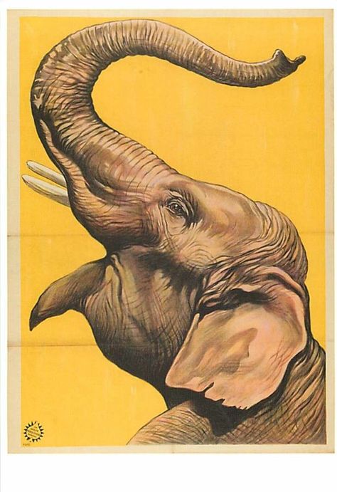 Scientist Tattoo, Nostalgia Design, Cirque Vintage, Old Circus, Vintage Circus Posters, Party Illustration, Elephant Photography, Regnul Animal, Elephant Poster