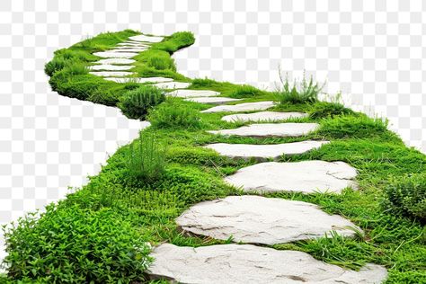 Stone Png, Grass Path, Decent Wallpapers, Drukarka 3d, Flower Background Images, Photoshop Backgrounds Backdrops, House Cartoon, Stone Steps, Photoshop Backgrounds Free