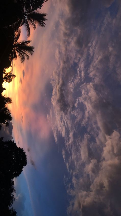 Evening Snap, Love Sky, Best Nature Images, Evening Fashion, Snap Snapchat, Pink Tree, Sky Photography Nature, Beautiful Scenery Pictures, Amazing Nature Photography