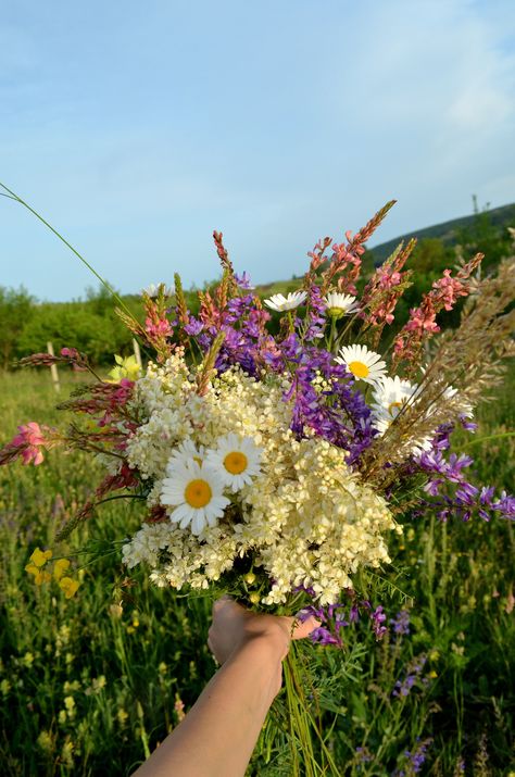 ✿campestre- Hello Spring Time Flower Picks, Wildflower Bouquet, No Rain, Love Flowers, Flower Shop, Pretty Flowers, Spring Time, Flower Power, Flowers Bouquet