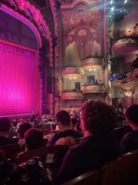 #broadway #nyc #newyork #aladdin Theatre Spotify Cover, Theatre Seats Aesthetic, Musicals Astethic, Theatre Performer, Aesthetic Broadway Pictures, Broadway Nyc Aesthetic, New York Theatre Aesthetic, Pink Broadway Aesthetic, Broadway Musicals Aesthetic