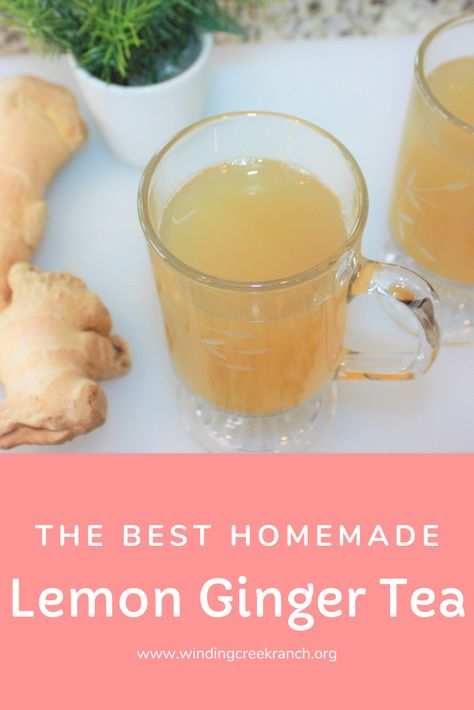 Click here to learn how to make the best homemade lemon ginger tea ever - Bonus - FREE recipe of lemon ginger tea with variations included! This recipe is very quick and easy, but so FULL of flavor.  There are so many different tea recipes out there, but let me persuade you to try this recipe, you won't be disappointed! Ginger has many health benefits, and is very comforting on a cold winter day. Give it a try! Ginger Lemon Tea Recipe, Ginger Cinnamon Tea, Ginger Lemon Honey Tea, Homemade Ginger Tea, Garlic Tea, Lemon Ginger Tea, Homemade Tea Recipes, Tea With Honey, Ginger Lemon Tea