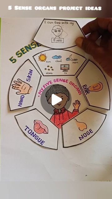 5 Sense Organs Project, Tlm For Special Education, Student Project Ideas, 5 Senses Projects For Kids, 5 Senses Project, Science Project For Kindergarten, Sense Organs Drawing, Sense Organs Project, Evs Tlm For Primary Classes