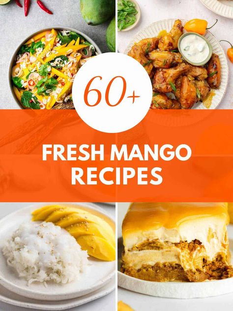 Enjoy 60+ irresistible mango recipes that whisk you away to a tropical paradise. Delight in fresh, flavorful dishes from breakfast to dessert and savor the taste of summer all day long! What To Do With Mangos, Fresh Mango Recipes, Mango Recipes For Dinner, Mango Dinner, Roasted Mango, Recipes With Mango, Pineapple Dessert Easy, Habanero Sauce Recipe, Mango Sushi