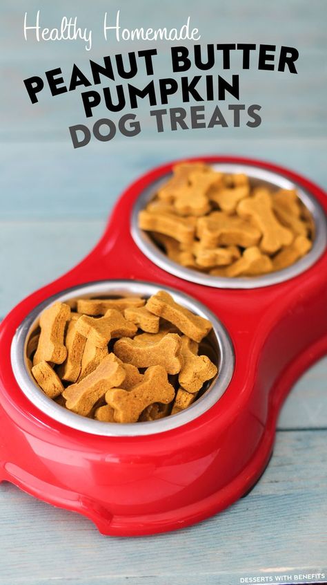 Healthy Homemade Peanut Butter Pumpkin Dog Treats recipe! Your pup will go CRAZY for these! (sugar free, gluten free, dairy free, eggless, vegan) Healthy Homemade Peanut Butter, Peanut Butter Pumpkin Dog Treats, Weight Watcher Desserts, Dog Pumpkin, Peanut Butter Dog Treats, Peanut Butter Pumpkin, Pumpkin Dog Treats, Healthy Vegan Desserts, Food Dog