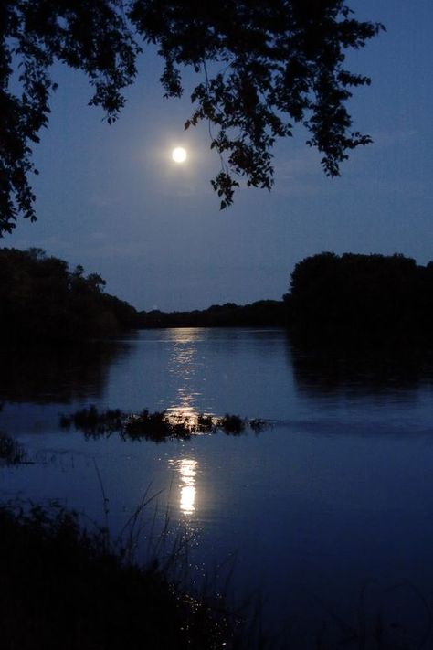 KANKAKEE RIVER…a 133 mile long tributary of the Illinois River in northwestern Indiana and northeastern Illinois Night Time Nature, Night River Aesthetic, Lakes At Night, Moon And River, Symbol Painting, Lake At Night, Moonlight On The River, Moonlight On A River, River Aesthetic