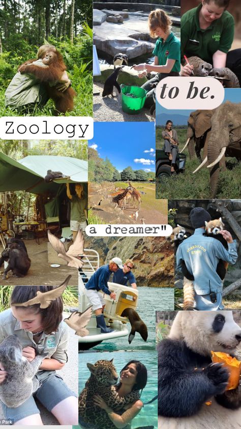 Dream job #zoologist #zoology #animals #visionboard #visions Wildlife Zoologist Aesthetic, Animal Jobs Career, Marine Zoologist Aesthetic, Zoologist Aesthetic Wallpaper, Animal Career Aesthetic, Vet School Outfits, Animal Behaviorist Aesthetic, Studying Zoology Aesthetic, Zoology Major Aesthetic