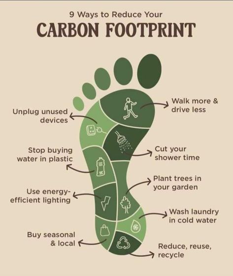 Environmental Science Major, Footprint Poster, Teacher Encouragement, Reducing Carbon Footprint, Environmentally Friendly Living, Instagram Projects, Save Environment, Ecology Design, Reduce Your Carbon Footprint