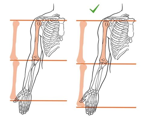 Proportion Drawing, Body Proportion Drawing, Arm Anatomy, Hand Anatomy, Arm Drawing, Anatomy Practice, Anatomy Sculpture, Book Cover Design Inspiration, Human Body Anatomy