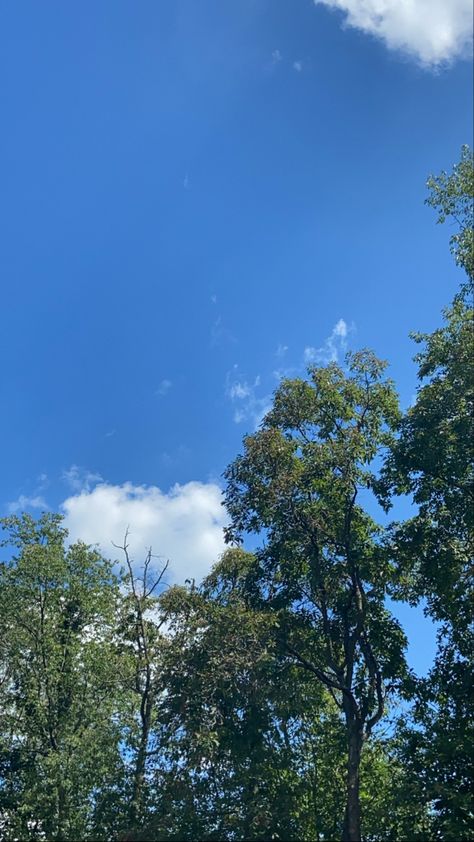 Different Weather Pictures, Trees Pictures Nature, Tree Pictures Aesthetic, Sunny Skies Aesthetic, Nice Weather Aesthetic, Summer Sunny Aesthetic, Sunny Clouds Aesthetic, Sun Pictures Aesthetic, Aesthetic Tree Pictures