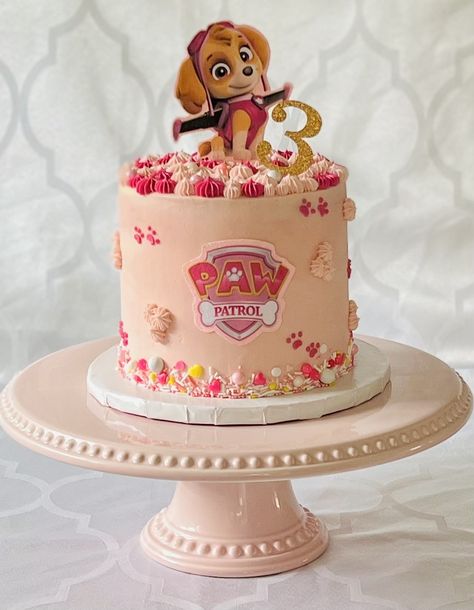 Skye Paw Patrol Cake 3rd Birthday, Skye Birthday Cake Paw Patrol, Paw Patrol Cake Girly Simple, Skye Paw Patrol Cake Ideas, Skye Paw Patrol Birthday Cake, Sky Cake Paw Patrol, Pastel Skye Paw Patrol, Paw Patrol Girl Cake, Skye Birthday Cake