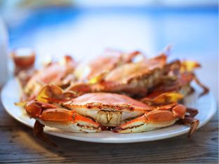 Visit Virginia Beach In the Spring Cooking Dungeness Crab, Dungeness Crab Legs, Crab Feast, Food Spoilage, Dungeness Crab, Crab Salad, Crab Recipes, Crab Legs, Home Canning