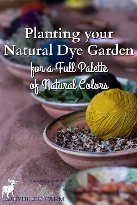 Herbs To Plant, Planting A Rainbow, Dye Garden, Diy Dye, Natural Dye Fabric, Eco Dyeing, Botanical Dyeing, Pallet Garden, Children's Art