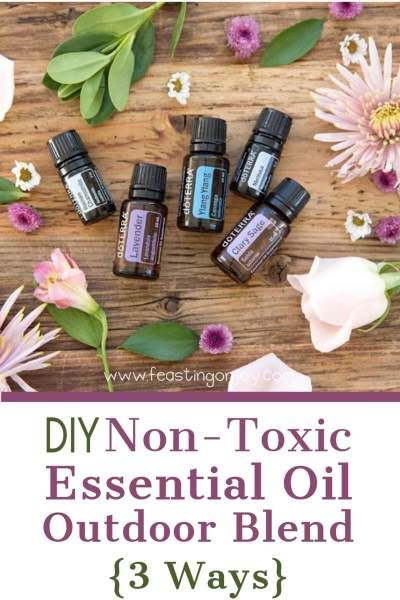 If you're going outside and want to keep the bugs away use a non-toxic, healthy alternative and stay away from DEET. It is really damaging to your health! Here are 3 DIY recipes that bugs hate that you can bring with you on all your outdoor adventures!  Non Toxic DIY Essential Oil Outdoor Blend 3 Ways | Feasting On Joy  #feastingonjoy #feastingonjoyrecipes #outdoor #healthy #healthylifestyle #healthyrecipes #insects #disease #DIY #essentialoils #lifehacks #thyroid #hormones #chemicalfree Outdoor Essential Oil Blends, Essential Oils Toxic To Dogs, Essential Oils And Dogs Toxic, Woodsy Essential Oil Blend, Thyroid Healthy Foods, Essential Oil Bug Repellent, Bug Repellent Spray, Peppermint Essential Oil Bug Spray, Essential Oil