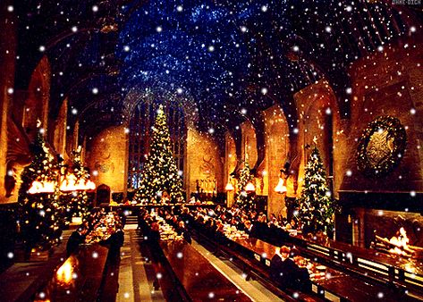 Harry Potter Pc, New Year Movie, Harry Potter Places, Hogwarts Great Hall, Harry Potter Christmas, Harry Potter Collection, Wedding Entrance, Bright Pictures, Harry Potter Wallpaper