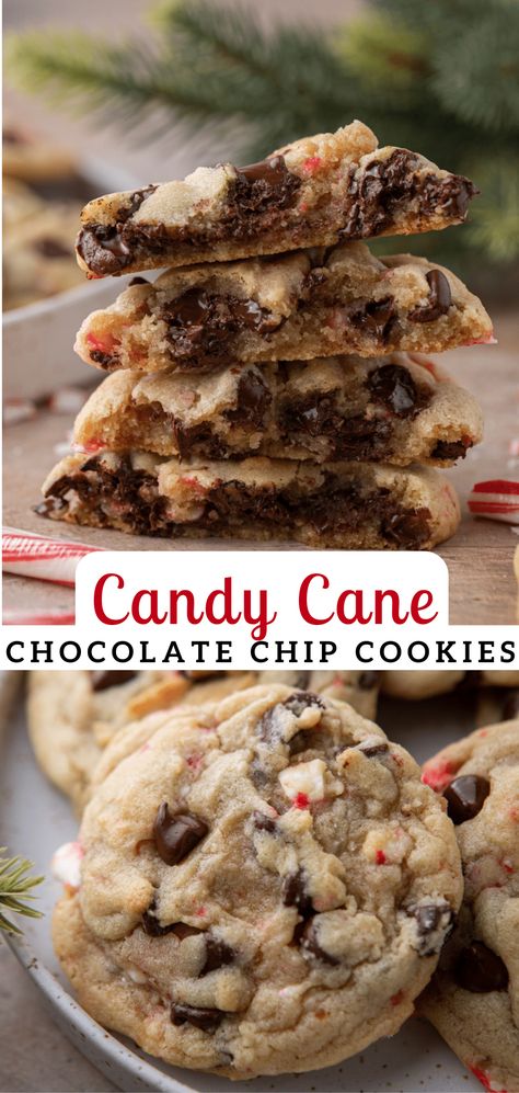 These peppermint candy cane chocolate chip cookies are the ultimate leave-out for Santa cookies! They are soft and chewy with crunchy pieces of candy cane in there! Chocolate Chip Peppermint Cookies Recipe, Peppermint Chocolate Chip Cookies Recipe, Andes Peppermint Crunch Baking Chips Recipes, Chocolate Cookies With Candy Cane Pieces, Blue Ribbon Chocolate Chip Cookies, Peppermint Cocoa Cookies, Candy Cane Chocolate Cookies, Dark Chocolate Candy Cane Cookies, Chocolate Chip Candy Cane Cookies