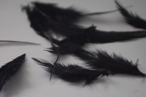 black, feather, and aesthetic image Dr Mundo, Whats Wallpaper, The Fallen Angel, Yennefer Of Vengerberg, Raven Queen, Vox Machina, Wolfram, Swan Lake, Black Feathers