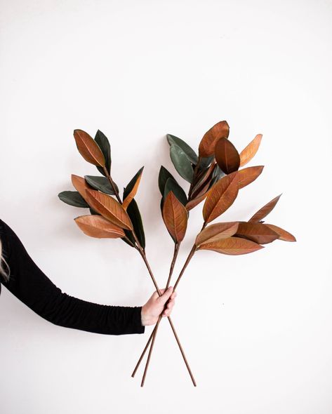 Our large faux magnolia leaves come with flower blooms or without. These faux stems are the perfect way to add a bit of greenery to any room. By going with faux, you have a realistic piece but without the maintenance! Faux Stems, Faux Leaf, Outdoor Gifts, Magnolia Leaves, Outdoor Pots, Fusion Mineral Paint, Fall Plants, Mineral Paint, Garden Storage