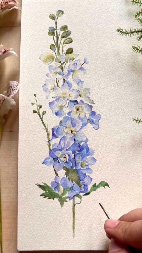 Larkspur Delphinium for the weekend 💙 . . . Materials used • @derwentart_india Inktense studio pans set • @derwentart_india inktense… | Instagram Vintage Larkspur Illustration, Delphinium Botanical Illustration, Blue Delphinium Painting, Larkspur Flower Painting, Delphinium Flower Aesthetic, Larkspur Illustration, Delphinium Flower Drawing, Larkspur Painting, Florals Drawings