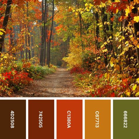 Autumn Leaves Colour Palette, Sage Green And Cranberry Color Palettes, Green Autumn Color Palette, Color Palettes Autumn, Fall Color Inspiration, Autumn Leaf Color Palette, October Colors Palette, Fall Leaves Colors, Autumn Leaves Color Palette