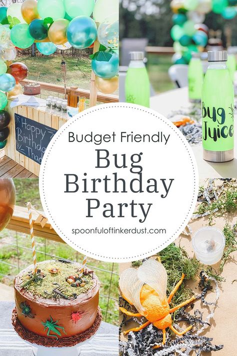 This nature friendly bug birthday party was budget friendly and full of fun! Ants Birthday Party, It’s A Bugs Life Party, Bug Themed Birthday Party Favors, Two Year Old Bug Birthday, 2nd Birthday Bug Theme, Bug Birthday Games, Nature Themed Birthday Party Decorations, Kids Bug Birthday Party, Bugs Party Ideas