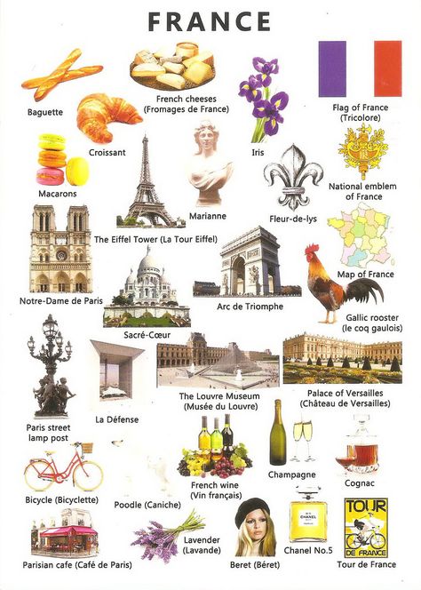 France Culture Aesthetic, France Infographic, France Name, France Language, Country Logo, Geography Classroom, French Heritage, France Country, World Countries