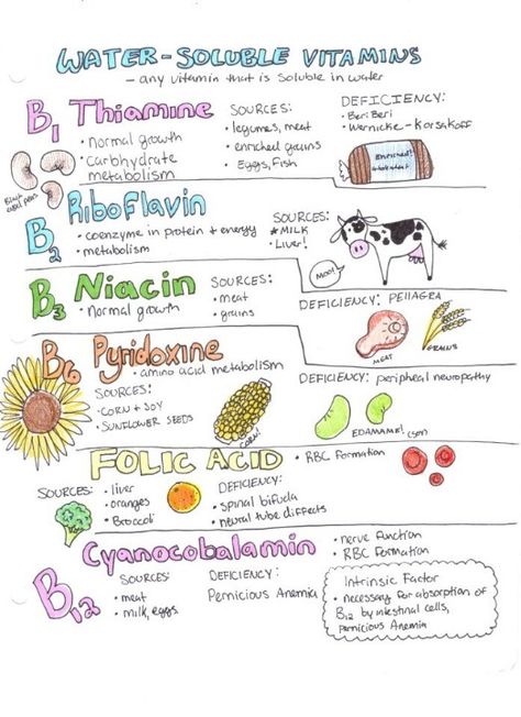 Water-soluble vitamins,  b complex and c Vitamin Notes, Vitamins Notes, Vitamins Study Notes, Nutrition Nursing, Dietitian Study Notes, Vitamins Nursing School, Nutritionist Study Notes, Vitamin Study Notes, Water Soluble Vitamins