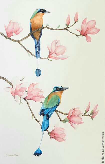 Illustration by Colleen Parker. Bird Drawings, Watercolor Bird, Birds Painting, Bird Art, Chinese Art, Botanical Art, 그림 그리기, Flower Drawing, Asian Art