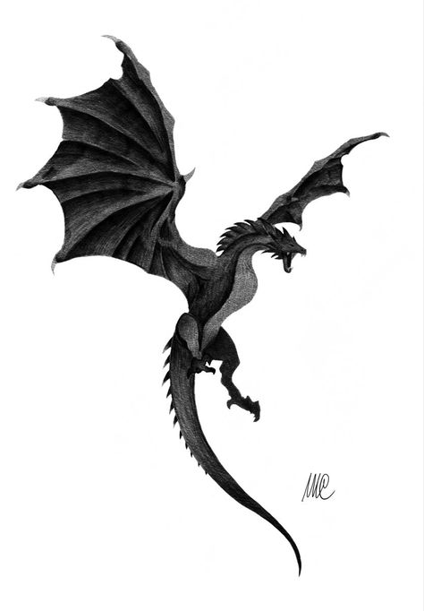 Dragon Tattoo Reference, Black Dragon Flying, Dragon Flying Drawing Reference, Wyvern Tattoo Designs, Fantasy Dragon Flying, Large Dragon Art, Dragon Flying Reference, Flying Dragon Illustration, Dragon Flying Up