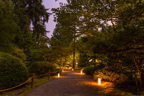 Moon Viewing 2018 - A Magical Night at the Garden — Seattle Japanese Garden Japanese Garden Lighting, Seattle Japanese Garden, Garden Night, Moon Gate, Earth View, Magical Night, Night Garden, Wild Roses, Japanese Garden