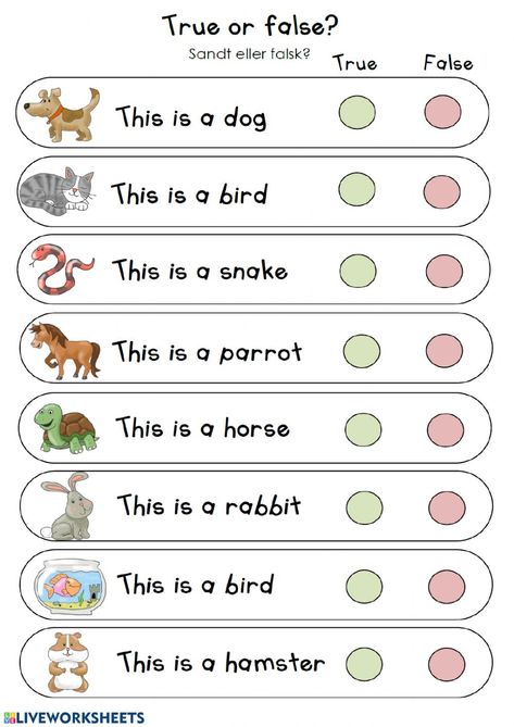 Pets online worksheet for 1º pri. You can do the exercises online or download the worksheet as pdf. English Worksheet For 1 Grade, True Or False Worksheet, English Kids Worksheet, Grade One English Worksheets, My Pets Worksheets For Kids, English Exercises For Kids, Kids English Worksheets, Pet Worksheet, Worksheets For Kids English