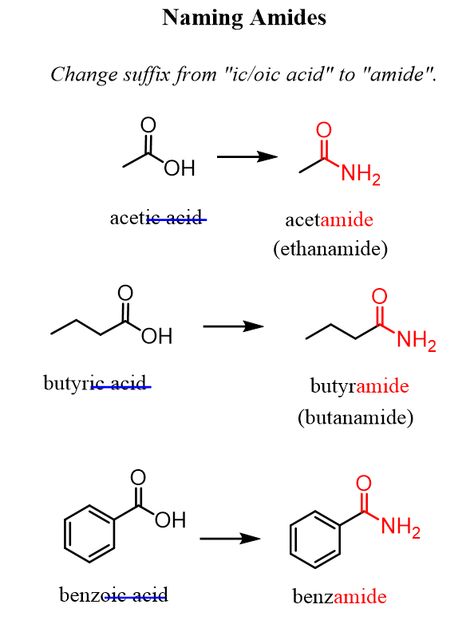 Naming Amides by IUPAC nomenclature rules Iupac Naming Organic Chemistry Rules, Iupac Nomenclature Notes, Iupac Naming Organic Chemistry, Iupac Nomenclature, Chem Notes, Organic Chemistry Reactions, Organic Reactions, Organic Chem, Organic Chemistry Study