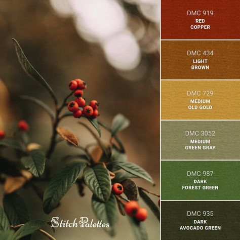 Red Green Gray Color Palette, Red Green Brown Black Color Palette, Forest Color Palette Hex Codes, Fall Forest Color Palette, Red Green Gold Color Palette, Green Rust Gold Color Palette, Amber And Green Color Palette, Harvest Gold Color Palette, Forestcore Color Palette