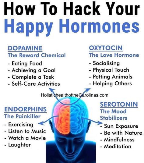 Meet with a board certified holistic health practitioner and do your testing at home! Virtual doctors appointments and follow ups. Happy Hormones, Home Doctor, Physical Touch, Hormone Health, Natural Therapy, Healthy Meals For Kids, Self Care Activities, Natural Wellness, Natural Medicine