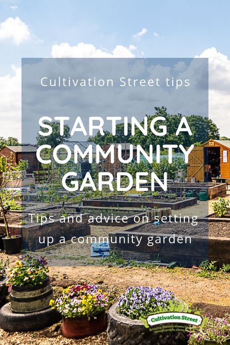 Intentional Community, Community Gardens, Benefits Of Gardening, Garden Plots, Sensory Garden, Growing Veggies, Community Garden, School Garden, Community Development