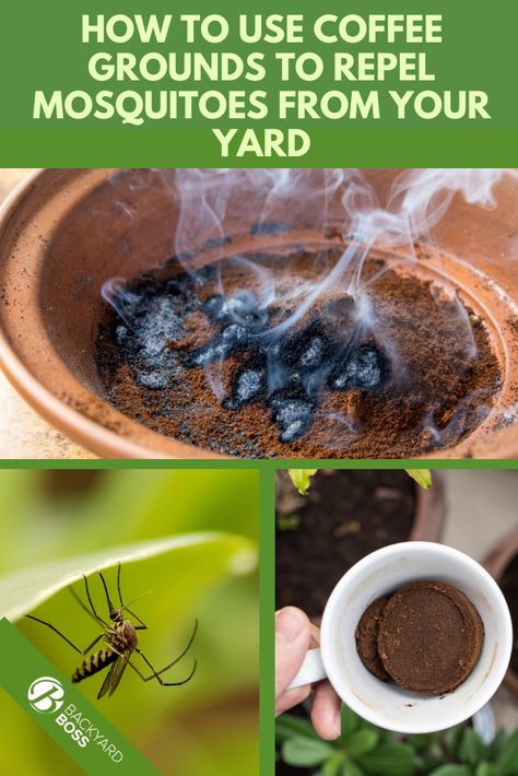 Outdoor Mosquito Repellant Backyards, How To Repel Mosquitoes Naturally, Yard Mosquito Spray Diy, Best Natural Mosquito Repellant, Diy Outdoor Mosquito Repellent, How To Get Rid Of Mosquitos In Yard Diy, How To Deter Mosquitos, Natural Termite Repellent, Home Mosquito Repellent