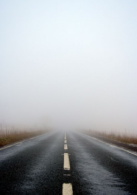 20 years I would have looked at this and been all "hell yeah, baby!" and now I look at it and think "I sure hope they don't have to pee and I hope they got gas before they get on THAT road" Foggy Day, Beautiful Roads, Middle Of Nowhere, Winding Road, Road Trippin, Open Road, Wabi Sabi, In The Middle, Koi