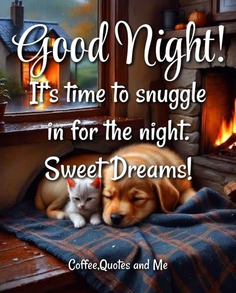 It's Time To Snuggle In For The Night. Good Night & Sweet Dreams Pictures, Photos, and Images for Facebook, Tumblr, Pinterest, and Twitter Funny Good Night Pictures, Sweet Dreams Pictures, Dreams Pictures, Funny Good Night Images, Cute Good Night Quotes, Good Night Blessings Quotes, Good Night Qoutes, Good Night Cat, Beautiful Good Night Quotes